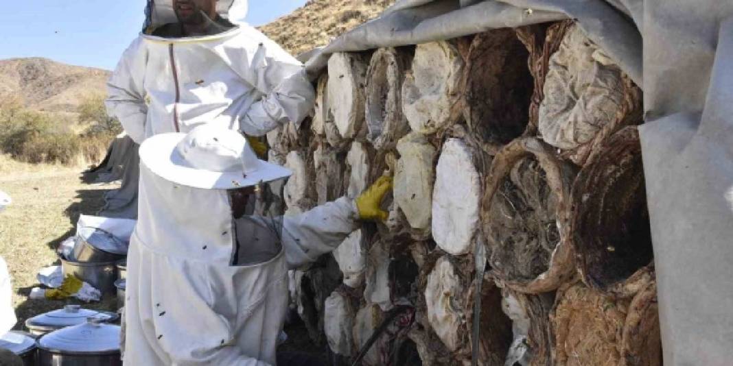 3 kere dünya birinciliği aldı! Meşhur balda hasat devam ediyor: Kilosu 3.000 TL’den yoğun talep görüyor 4